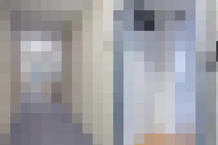 Gruttersveld 7 276 Wehl thumbnail 18