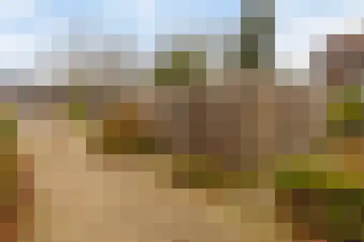 Gruttersveld 7 276 Wehl thumbnail 22