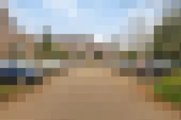 Gruttersveld 7 276 Wehl thumbnail 25