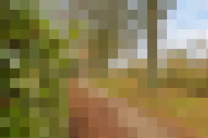 Gruttersveld 7 276 Wehl thumbnail 27