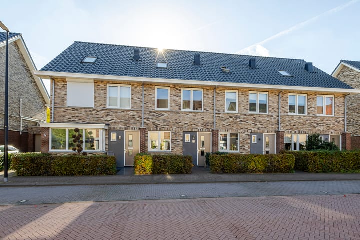 Grutto 13 in Meerkerk foto