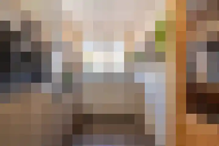 Grutto 13 Meerkerk thumbnail 13