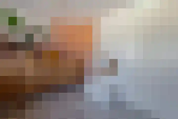 Grutto 13 Meerkerk thumbnail 28