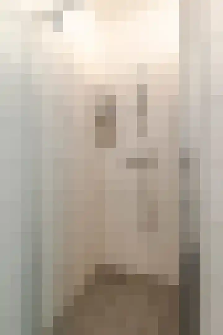 Grutto 13 Meerkerk thumbnail 31