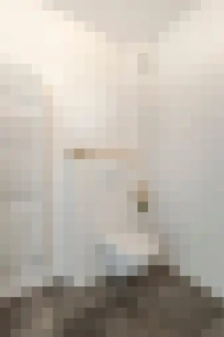 Grutto 13 Meerkerk thumbnail 32