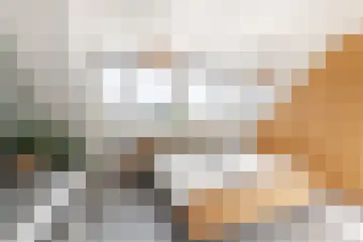 Grutto 13 Meerkerk thumbnail 35