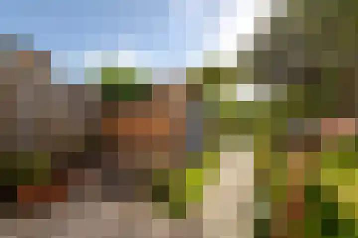 Grutto 13 Meerkerk thumbnail 4