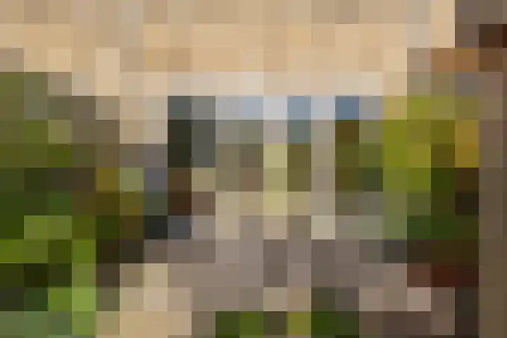 Grutto 13 Meerkerk thumbnail 40