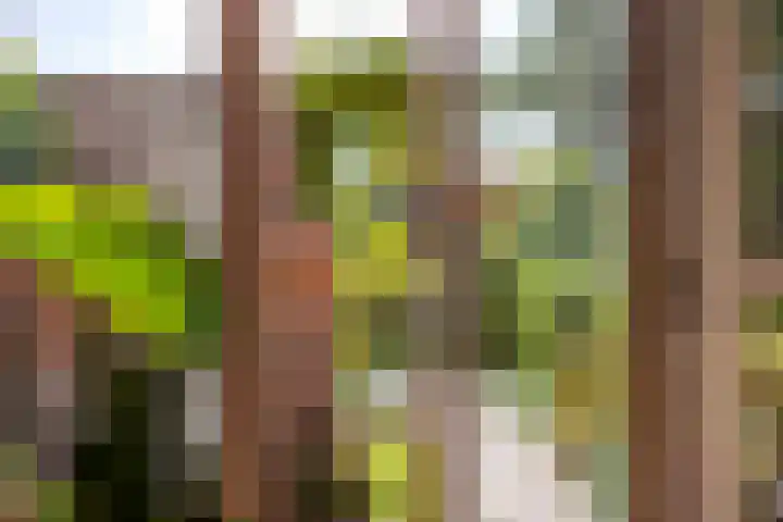 Grutto 13 Meerkerk thumbnail 41