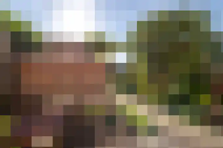 Grutto 13 Meerkerk thumbnail 47