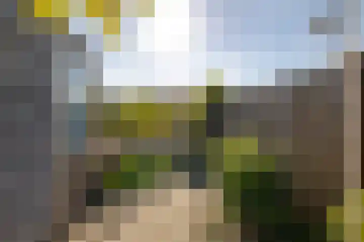 Grutto 13 Meerkerk thumbnail 48