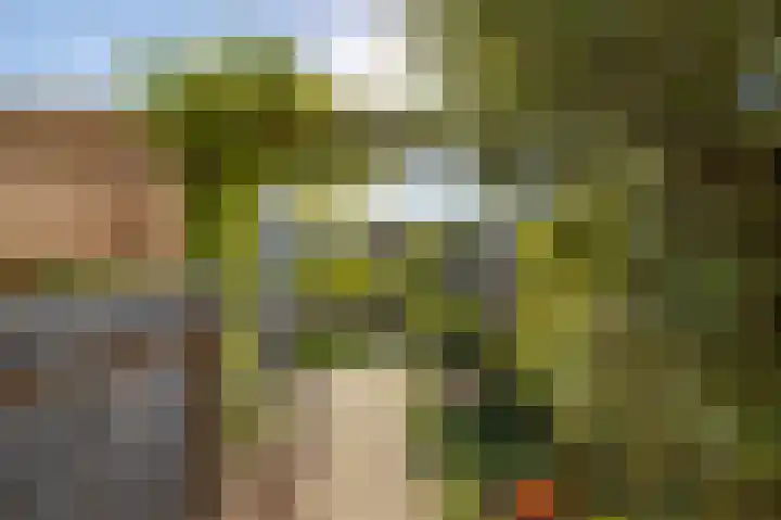 Grutto 13 Meerkerk thumbnail 49