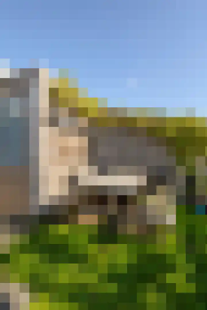 Grutto 13 Meerkerk thumbnail 50