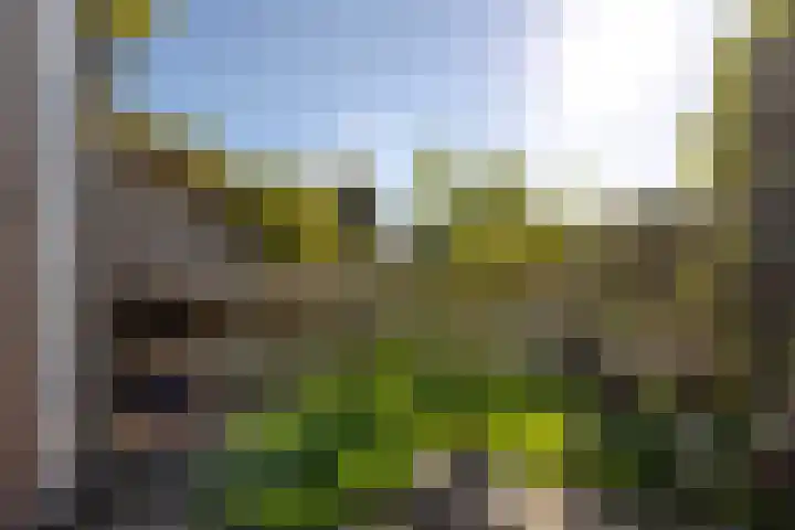 Grutto 13 Meerkerk thumbnail 51
