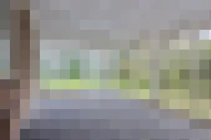 Grutto 35 Castricum thumbnail 10