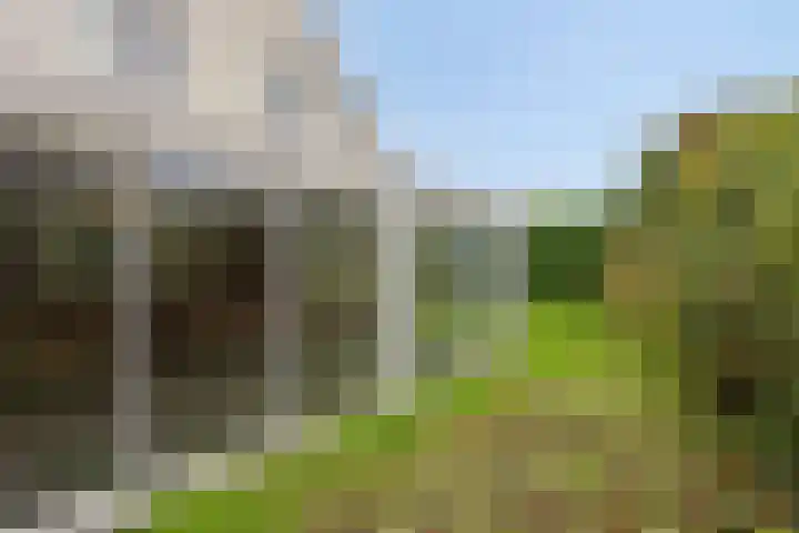 Grutto 35 Castricum thumbnail 22