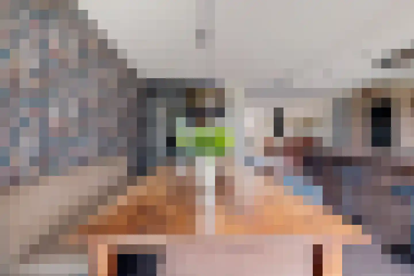 Grutto 39 Wijhe thumbnail 18
