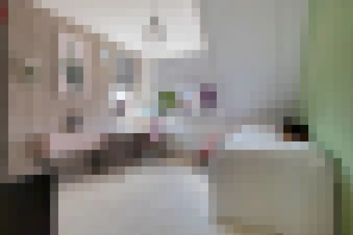 Grutto 39 Wijhe thumbnail 28