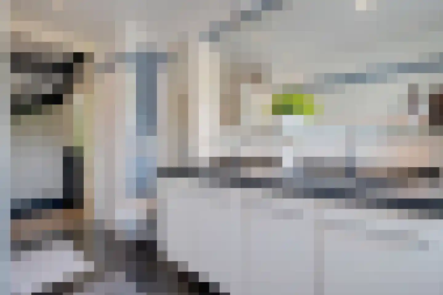 Grutto 39 Wijhe thumbnail 35