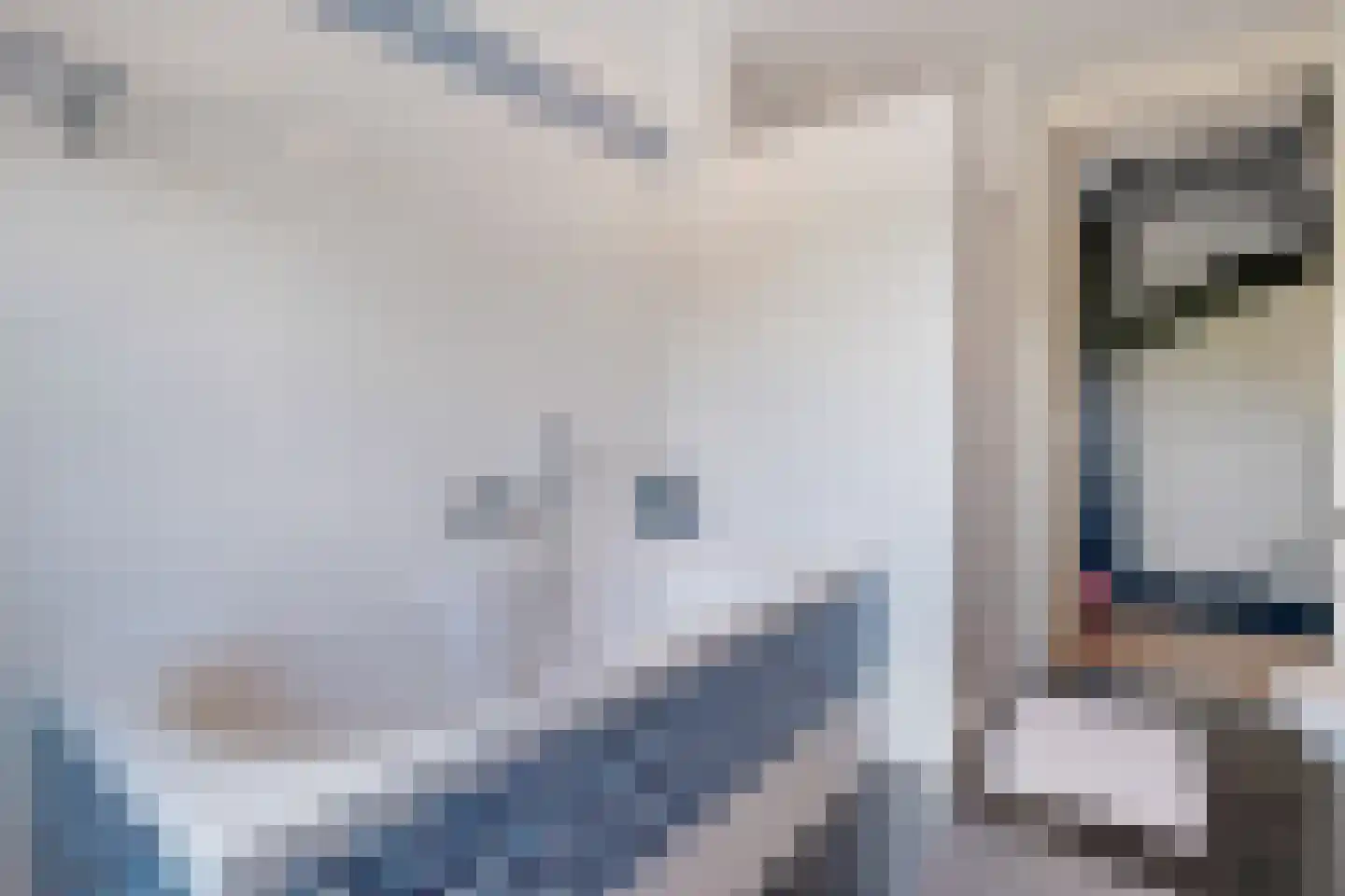 Grutto 39 Wijhe thumbnail 36