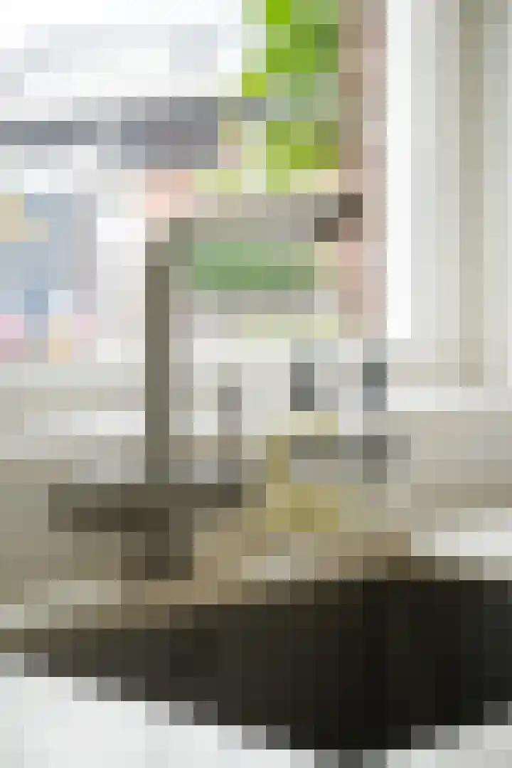 Grutto 47 Meerkerk thumbnail 18