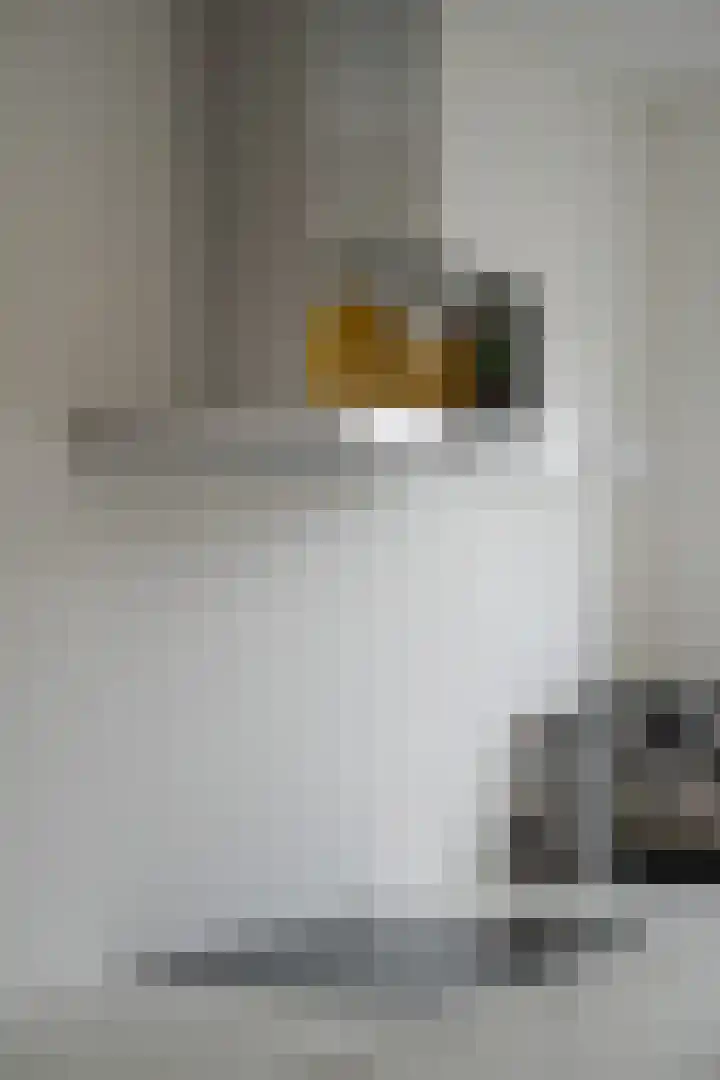 Grutto 47 Meerkerk thumbnail 22