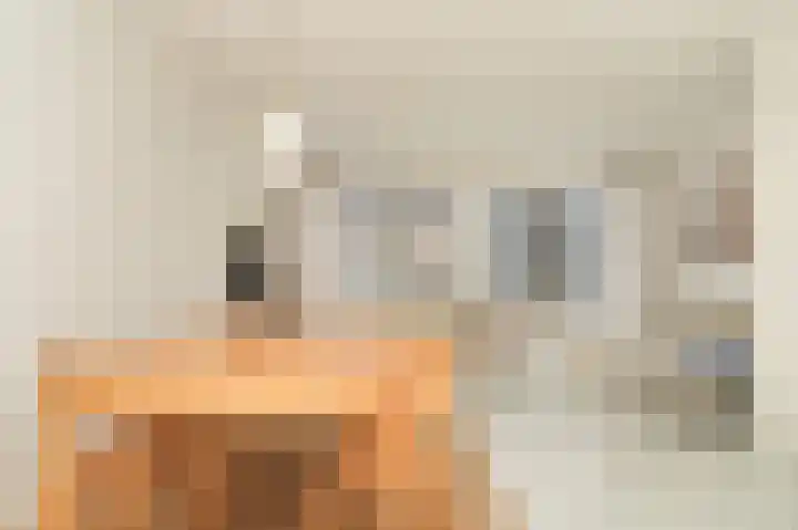 Grutto 47 Meerkerk thumbnail 23
