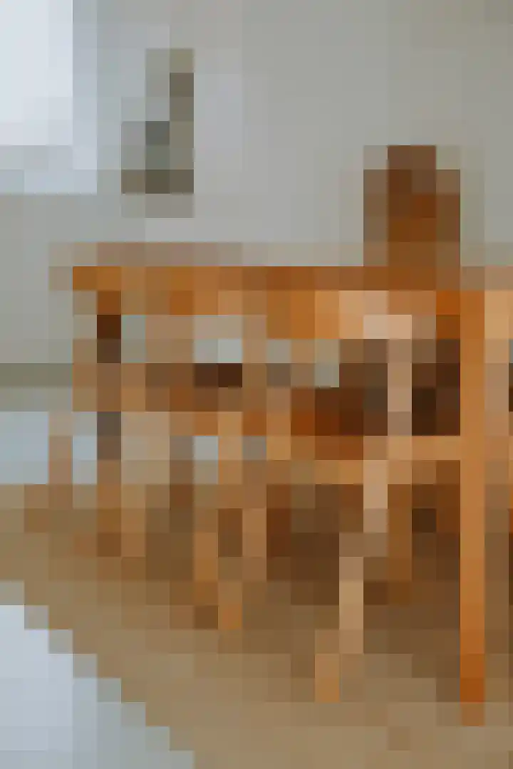 Grutto 47 Meerkerk thumbnail 25