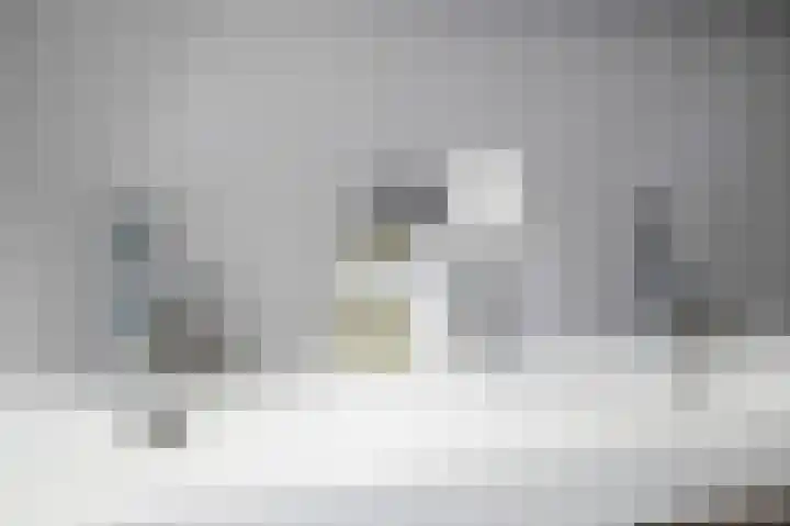 Grutto 47 Meerkerk thumbnail 34