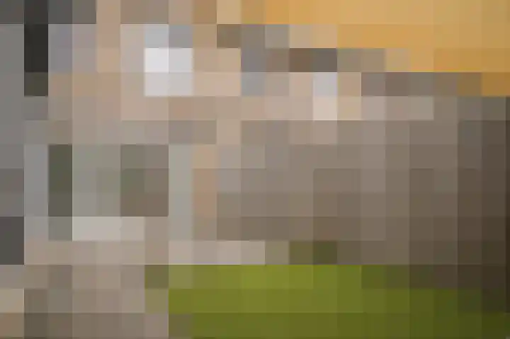 Grutto 47 Meerkerk thumbnail 45