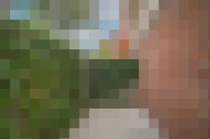 Grutto 47 Meerkerk thumbnail 49