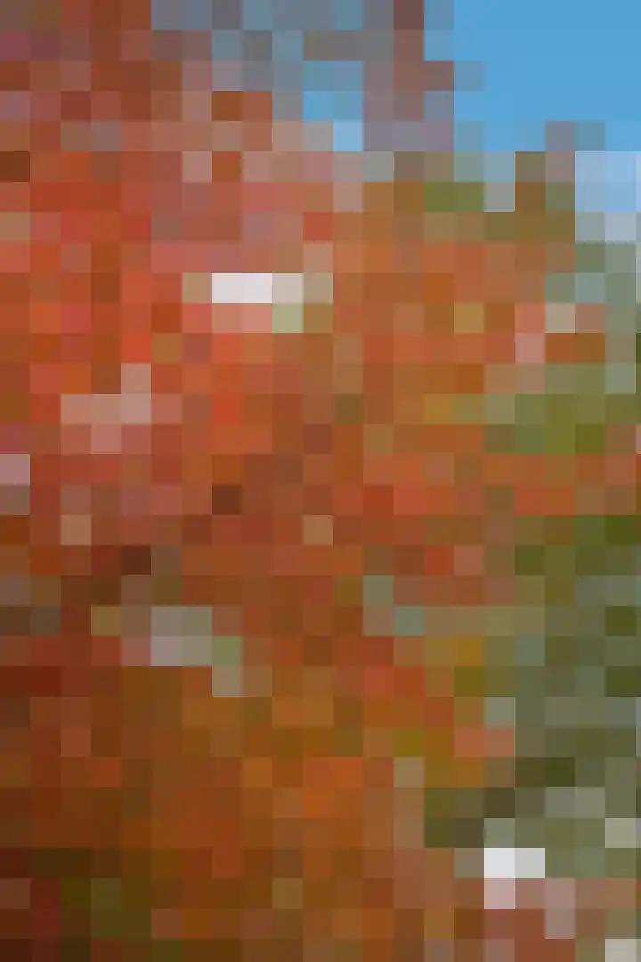 Grutto 47 Meerkerk thumbnail 52