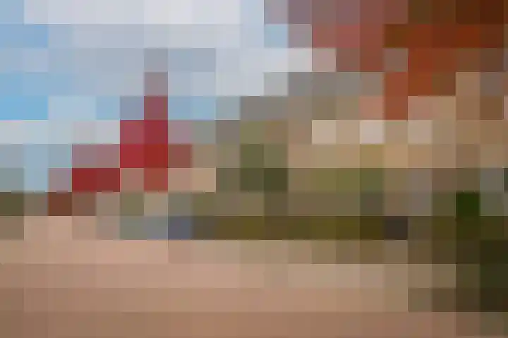 Grutto 47 Meerkerk thumbnail 55