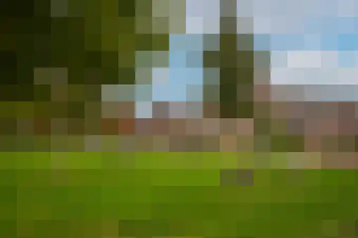 Grutto 47 Meerkerk thumbnail 57