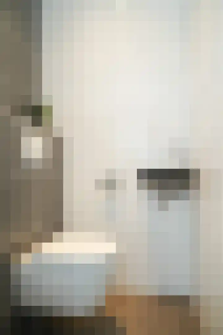 Grutto 47 Meerkerk thumbnail 6