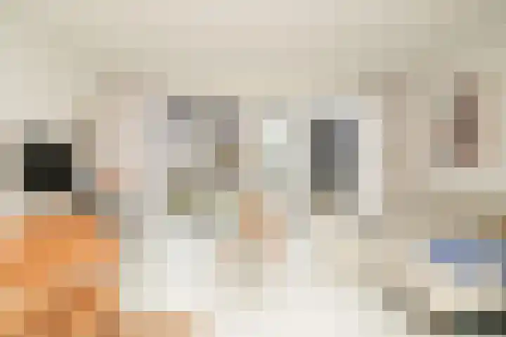 Grutto 47 Meerkerk thumbnail 8