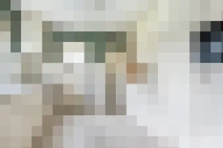 Grutto 5 Sommelsdijk thumbnail 12