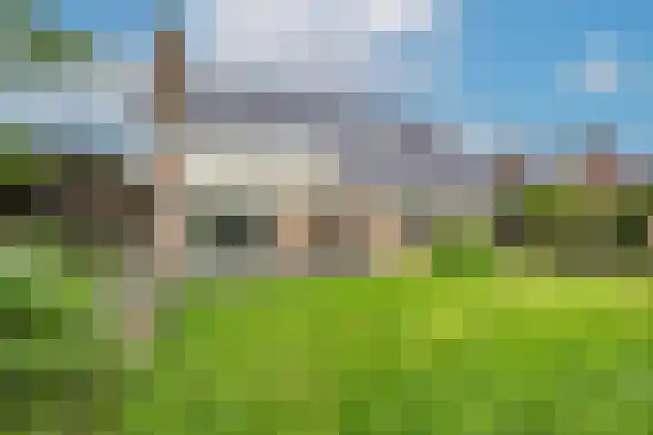Grutto 5 Sommelsdijk thumbnail 26