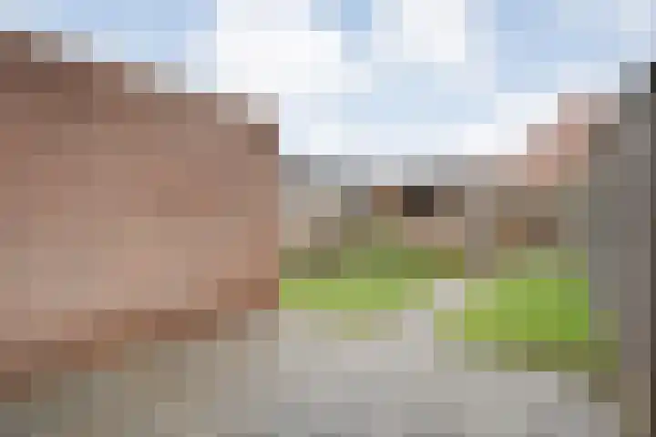 Grutto 54 Raalte thumbnail 39