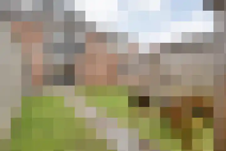 Grutto 54 Raalte thumbnail 40
