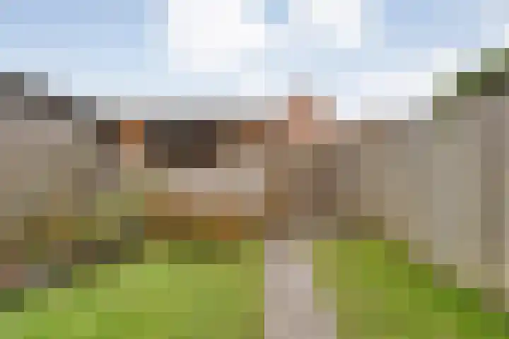 Grutto 54 Raalte thumbnail 42