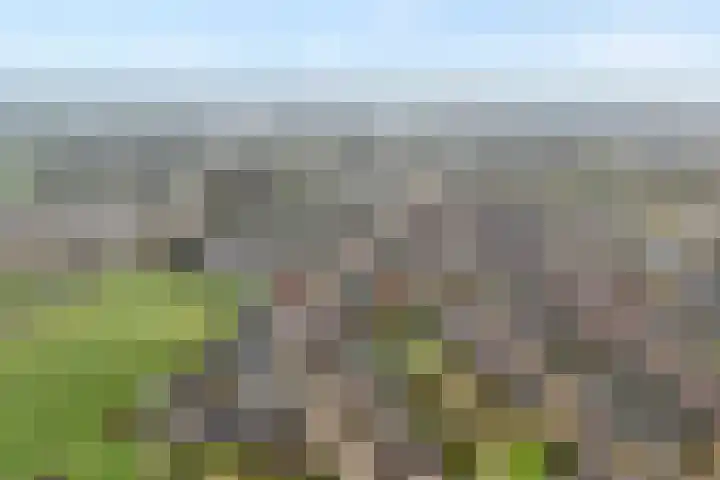 Grutto 54 Raalte thumbnail 5