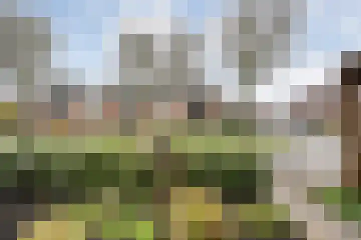 Grutto 54 Raalte thumbnail 6