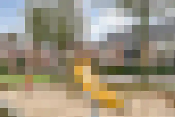 Grutto 54 Raalte thumbnail 7