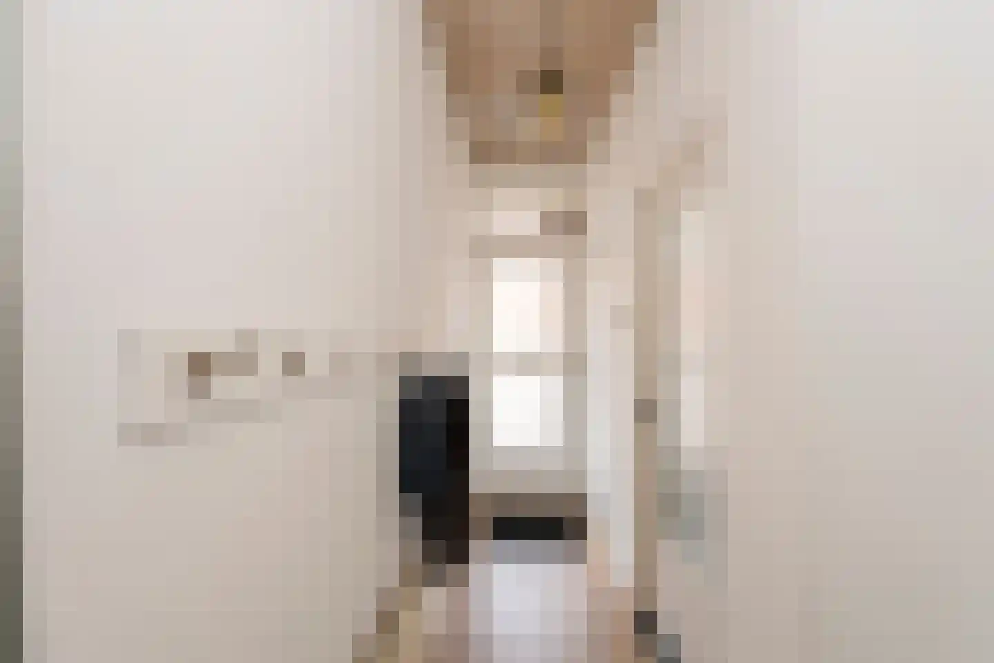 Grutto 73 Bodegraven thumbnail 25