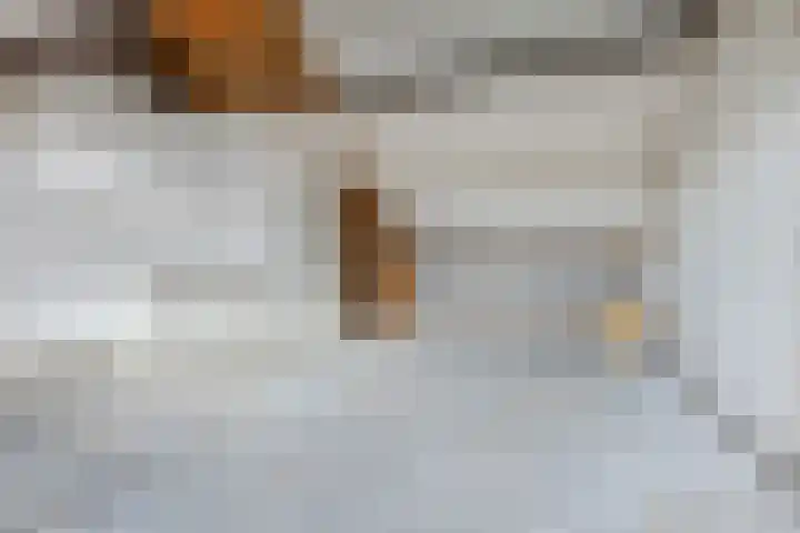 Grutto 73 Bodegraven thumbnail 26