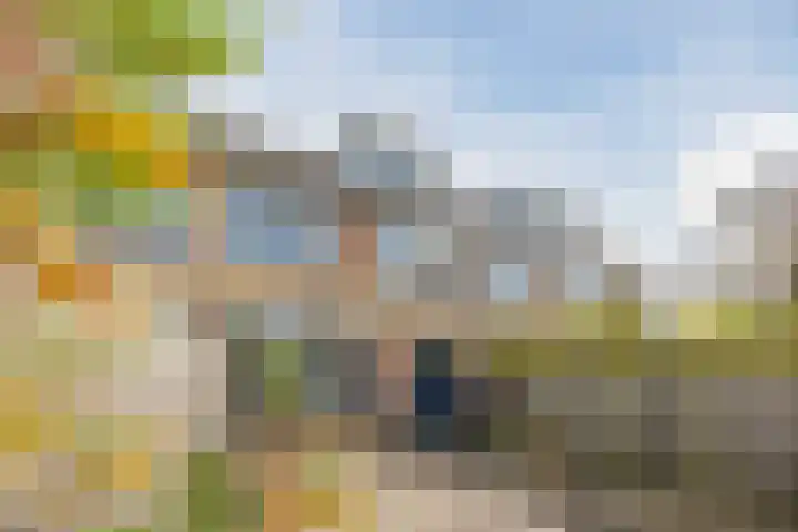 Grutto 73 Bodegraven thumbnail 29