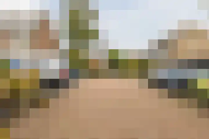 Grutto 73 Bodegraven thumbnail 30