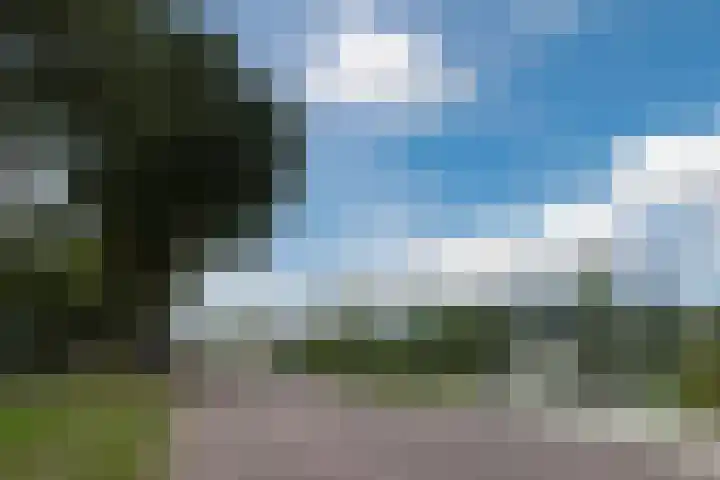 Grutto 73 Bodegraven thumbnail 32