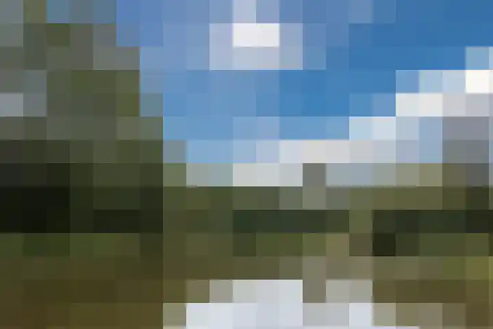 Grutto 73 Bodegraven thumbnail 33